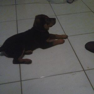 Meet your Posher, Raymond